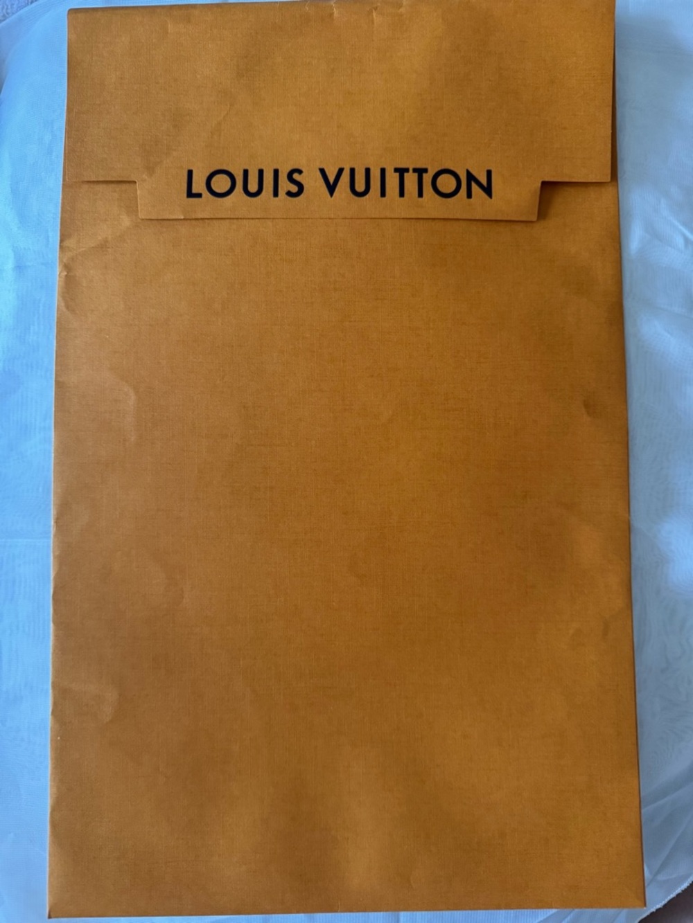 Louis Vuitton 💯% Authentic iconic paper envelope bag — Like New. Ideal for gifts